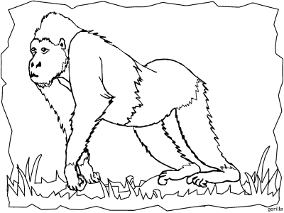 Endangered Animals Coloring Pages · Page 2