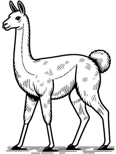 guanaco coloring pages