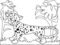 jaguar coloring page