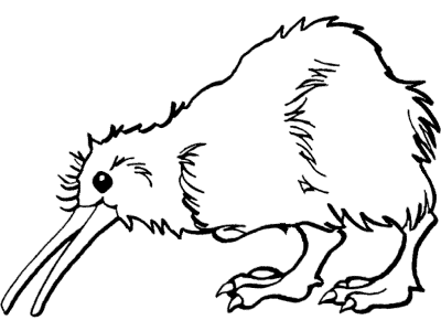 kiwi coloring page