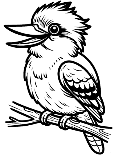 kookaburra coloring page