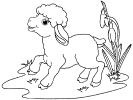 lamb and sheep coloring pages and printable activites