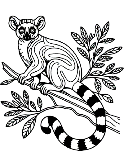 lemur coloring page