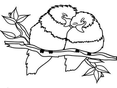 lovebirds coloring page