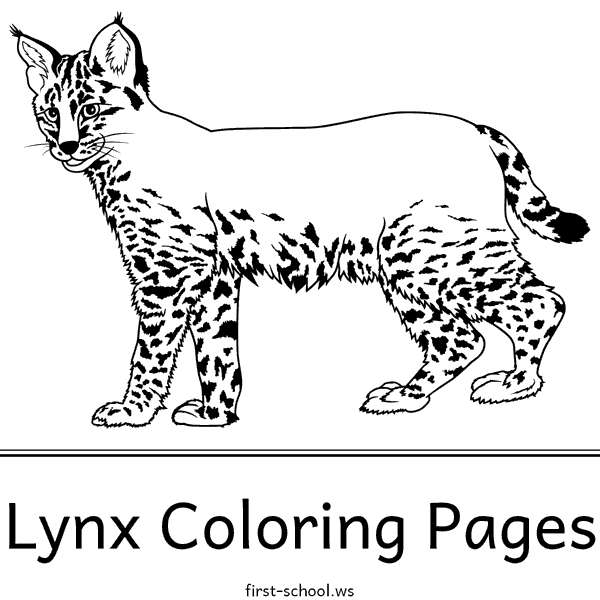 Lynx Coloring Pages and Printable Activities