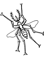 mosquito coloring page