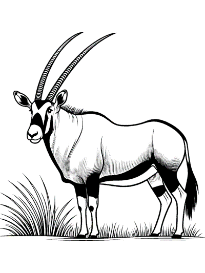 oryx coloring page endangered animal