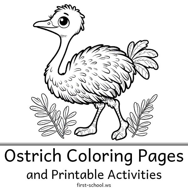 Ostrich Coloring Pages and Printable Activities