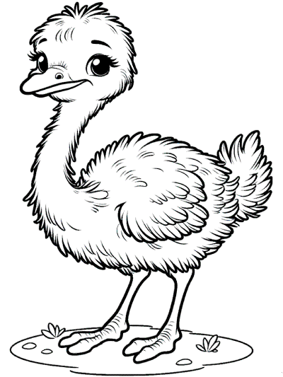 ostrich coloring page