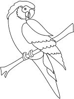 parrot coloring page