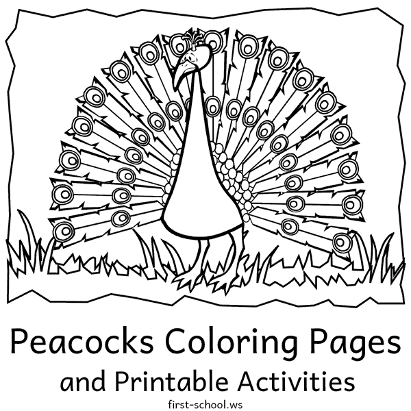 Peacock - Peafowl Coloring Pages