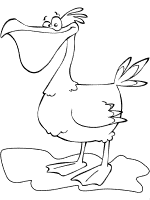 pelican coloring page