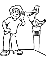 pelican chats coloring page