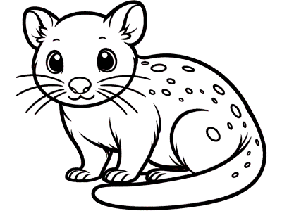 quoll coloring page