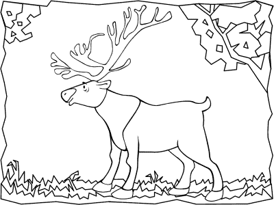 Reindeer Coloring Pages (Caribou) and Printable Activities