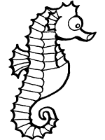 seahorse coloring page and tracer