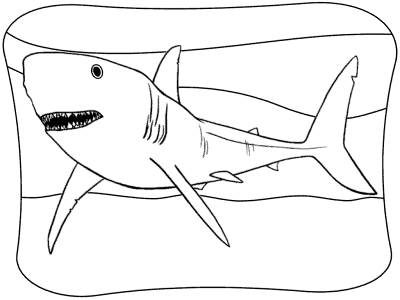 shark coloring page