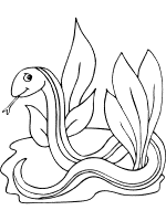 snake coloring page