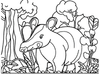 tapir coloring page