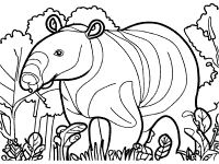 tapir coloring page