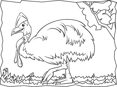 cassowary coloring page