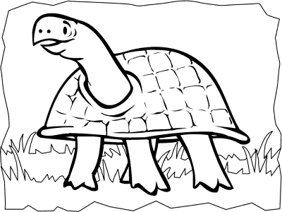 turtle coloring page