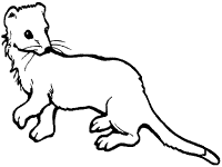 weasel coloring page 