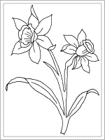 daffodil coloring page