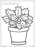 birth flower december holly coloring page