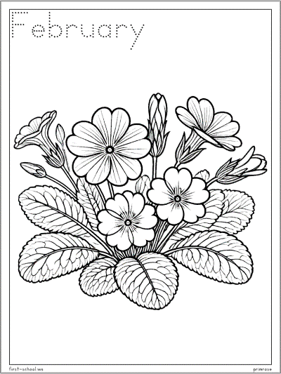 birth flower february primrose coloring page