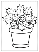 birth flower december holly coloring page