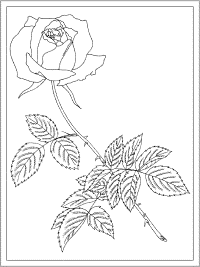 rose coloring page