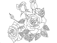 rose coloring page