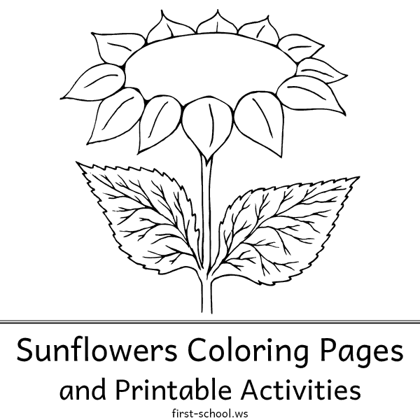 Sunflowers Coloring Pages at First-School.ws