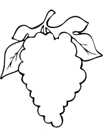 grapes coloring page