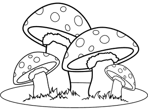 Mushrooms - Toadstools Coloring Pages