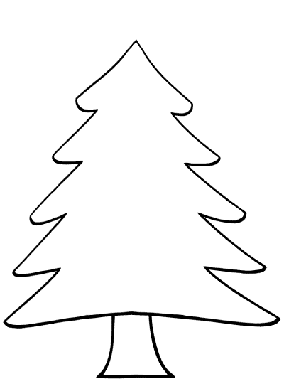 evergreen conifer tree coloring page