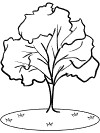 environmental education theme coloring pages