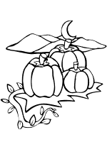 pumpkin patch coloring page