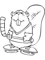 bear plays ice hockey coloring page