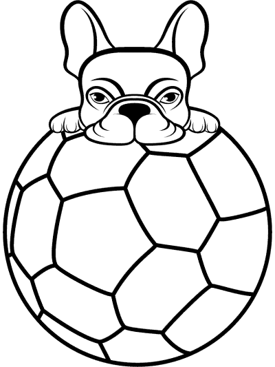 Boston terrier soccer mascot coloring page