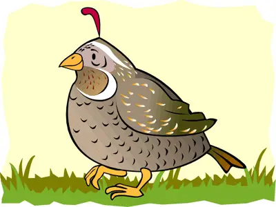 Quail Theme Preschool Activities and Crafts