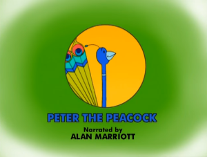 Peter the Peacock Video story