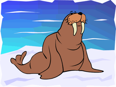 Walrus Theme Preschool Lesson Plan Activities