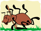 ant online jigsaw puzzle