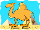 camel online jigsaw puzzle and activities