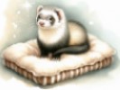 ferret online puzzle