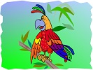 parrot activities and crafts